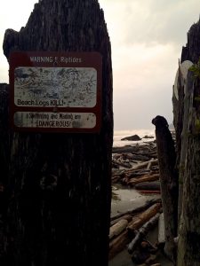 How to Storm Watch Grays Harbor Coast Kalaloch