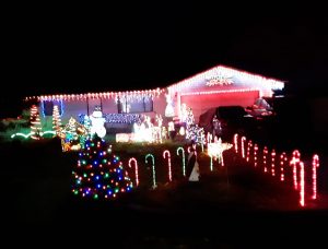 Narada Court Lacey Christmas lights