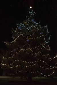 Saint-Martins-University-Christmas-Under-the-Canopy-Christmas-Tree.