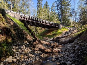 Thurston County Fish Passage enhancement project Hunter Point