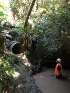 Thurston County Fish Passage enhancement project Hunter Point before restoration