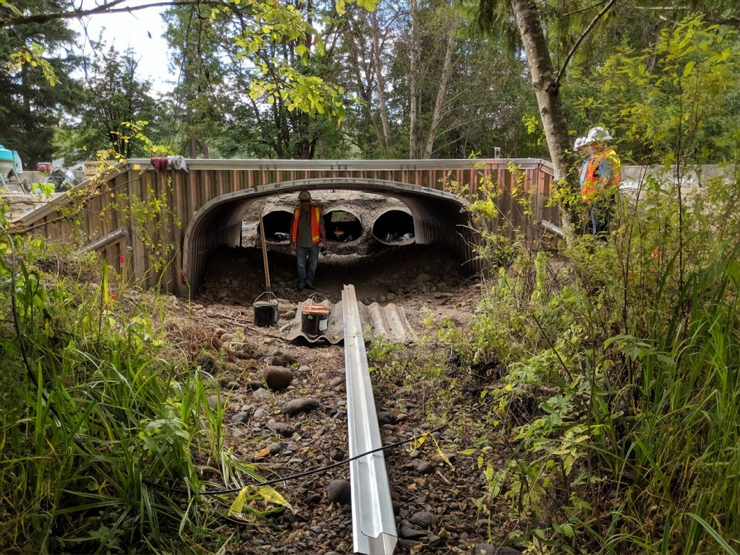 Thurston County Fish Passage enhancement project Toboton Side Wall