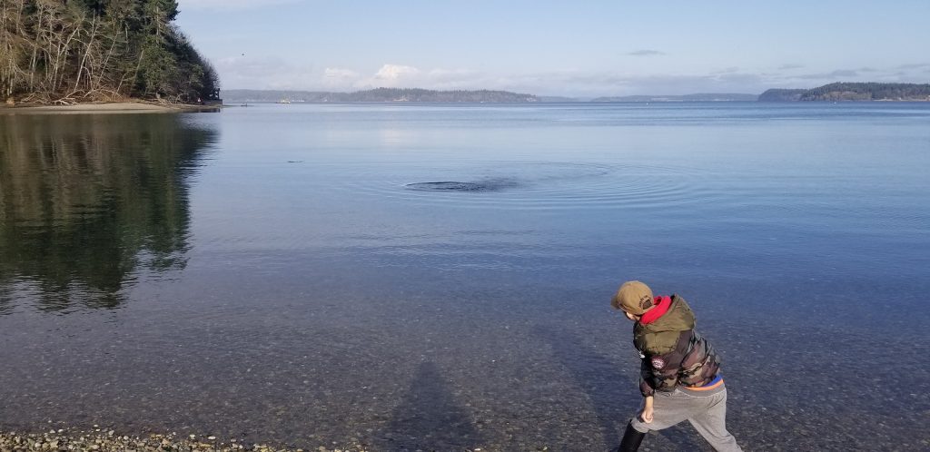 Tolmie State Park