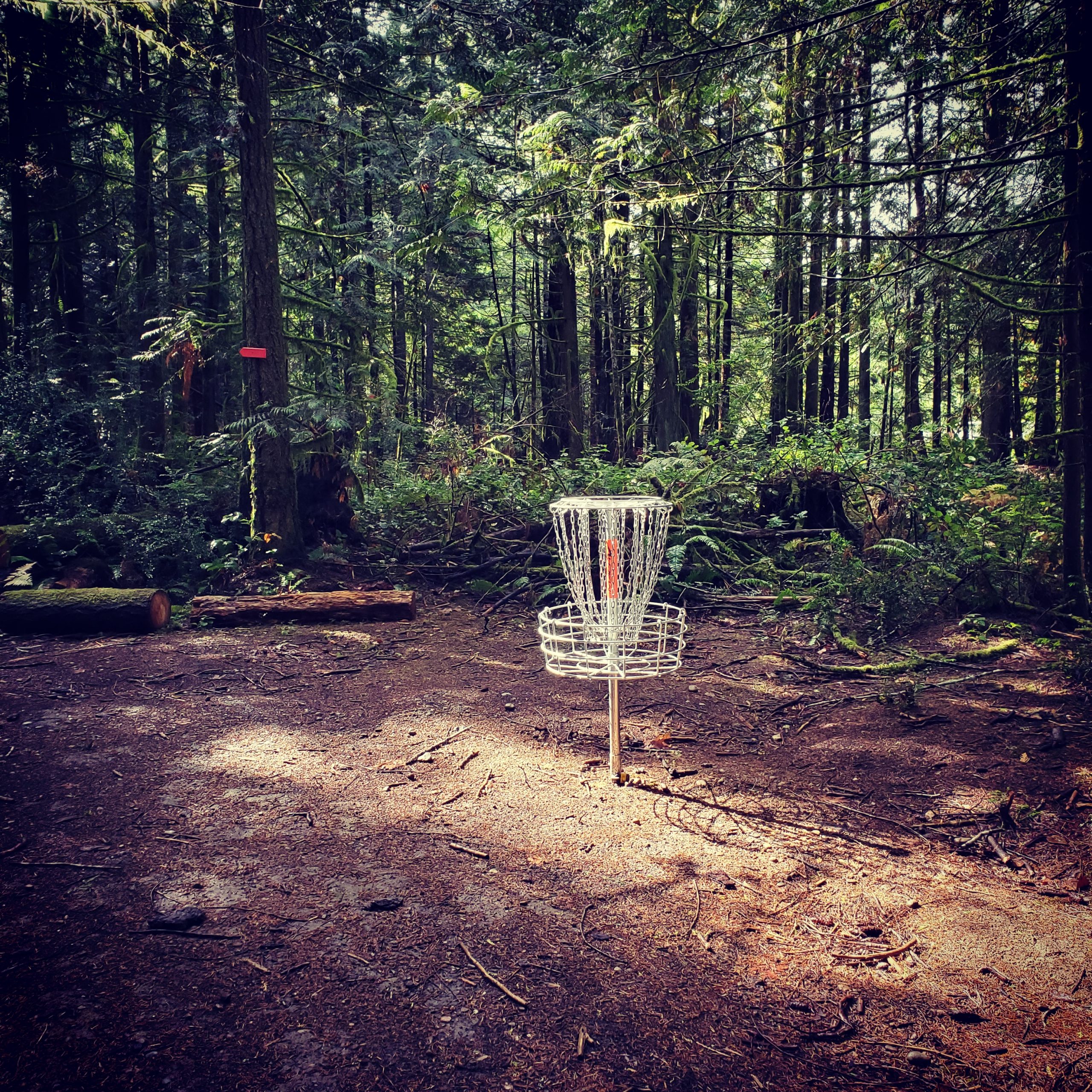 Thrifty Thurston Plays Disc Golf in Olympia and Surrounding Areas