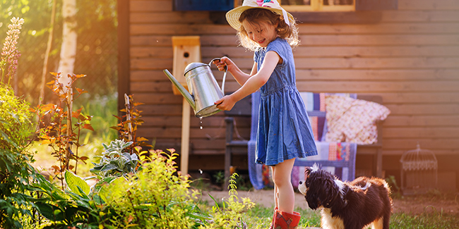 child girl watering flowers with her dog in summer garden