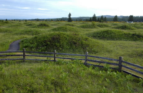 https://www.thurstontalk.com/wp-content/uploads/2020/07/Mima-Mounds-Experience-Olympia-Thrston-Bountiful-Byway.jpg