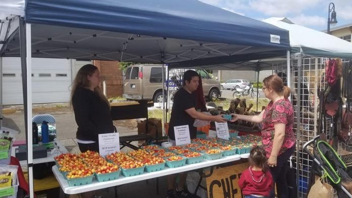 Yelm-Farmers-Market-Kenlee-Produce-1