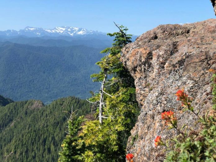 Grays harbor Hiking biking walking trails Colonel-Bob-hike