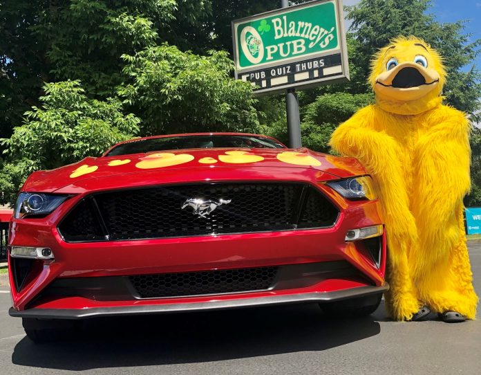dash duck for car
