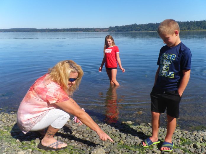 Nisqually Reach Nature Center