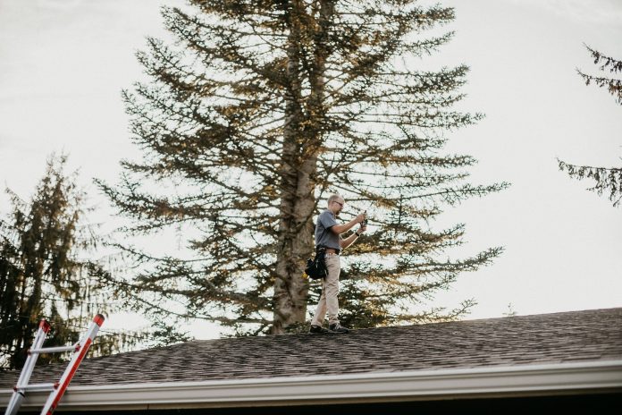 Boggs-Inspection-Services-Winter-Tree-Limbs
