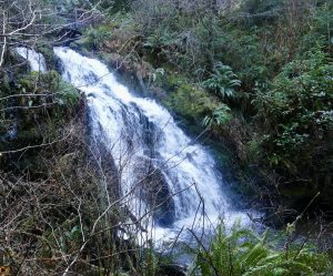 Day trip Waterfalls Olympic Peninsula-Cascade-Falls