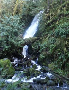 Day trip Waterfalls Olympic Peninsula Merriman-Falls