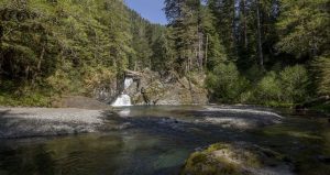 Day trip Waterfalls Olympic Peninsula-Wynoochee-Falls