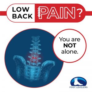 360 chiropractic Lacey Low back Pain