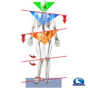 360 chiropractic Lacey Structural Imbalance