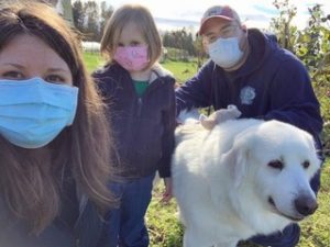 Great pyrs rescue Tilly Thurston County