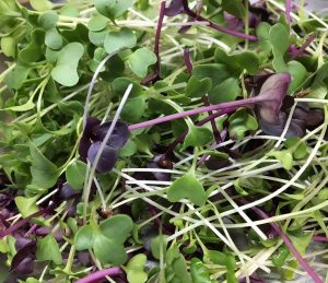 Park-Side-Cafe-spring-Prairie-Oak-Farm-greens