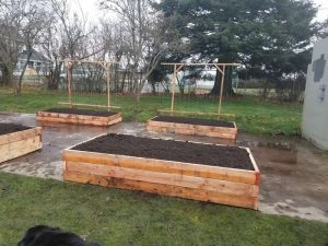 Yelm-Community-Garden-beds