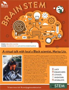 black history month BRAIN STEM 1