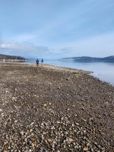 Birding-Hood-Canal