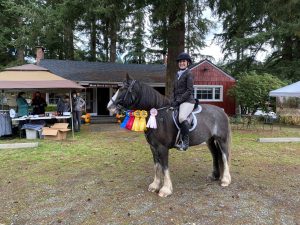 Merida the bitless Kristina Lotz woodbrook hunt club