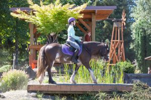 Kristina Lotz Merida The Bitless Bolender Horse Park