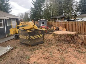 Lacey Chamber Cheryl Sparkuhls-Stump-Grinding