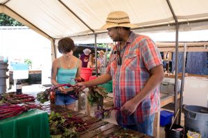 Evergreen-College-Summer-School-Organic-Farm