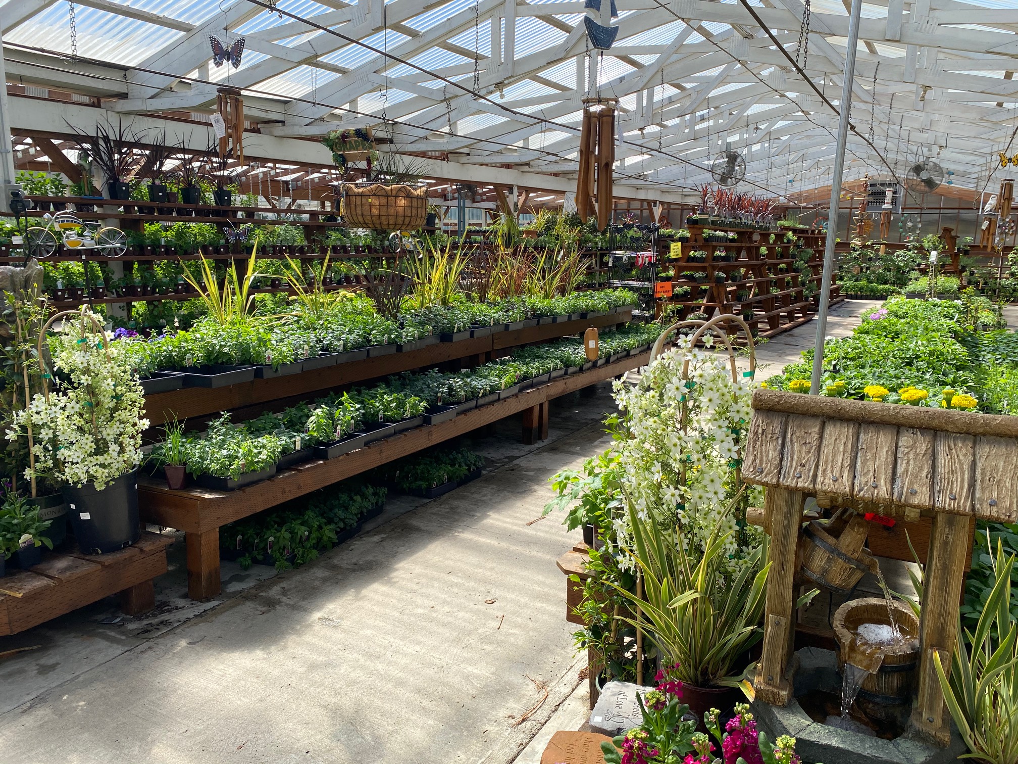 Spruce Up Your Garden With These Plant Nurseries And Garden Centers In Olympia And Surrounding Areas - Thurstontalk