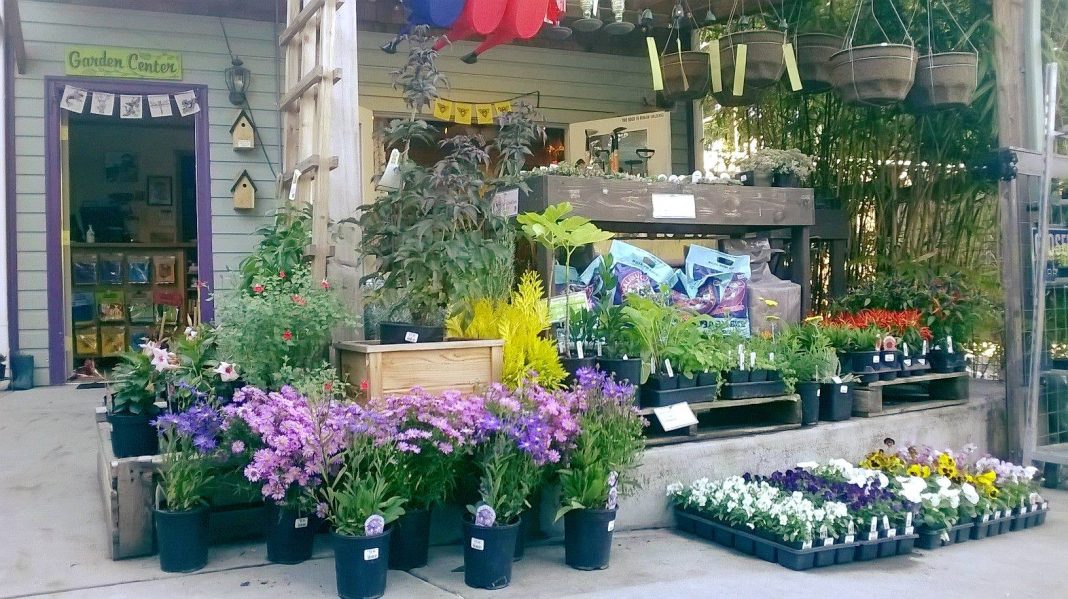 Spruce up Your Garden with These Plant Nurseries and