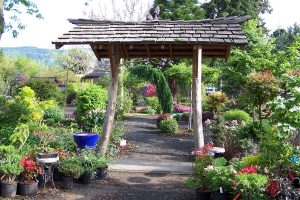 Garden Centers Olympia Laels Moon Garden Nursery