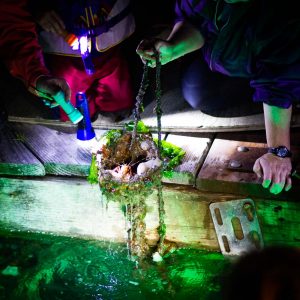 Puget-Sound-Estuariums-Pier-Peer-program-Gabrielle-Byrne-Olympia