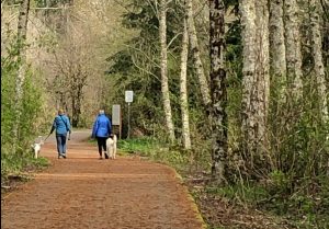 WalkTalkCoach Munro Trail Walkers