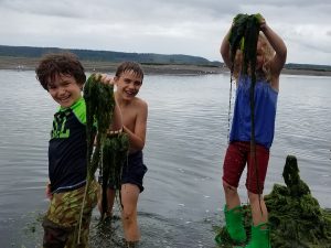 2021 Summer camp thurston county Nisqually Reach Nature Center