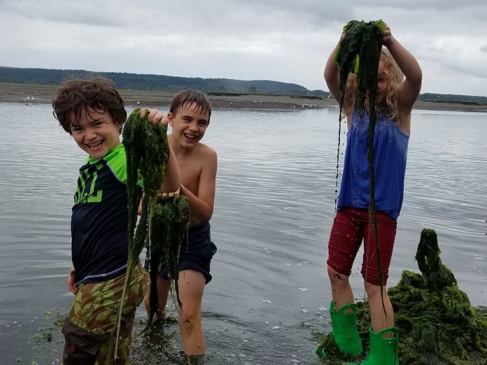 2021 Summer Camps in Thurston County and Beyond ThurstonTalk