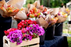 Evergreen-Organic-Farm-Flowers