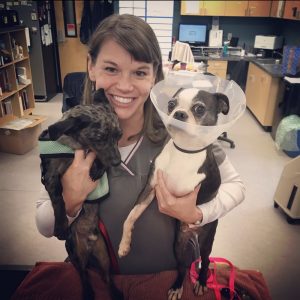 Willy-Lucky-Olympia-Nonprofit-Robin-Reese-with-Rescue-Dogs