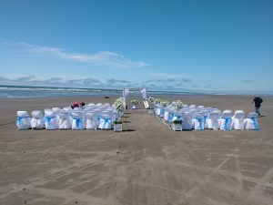 wedding grays Harbor beach wedding