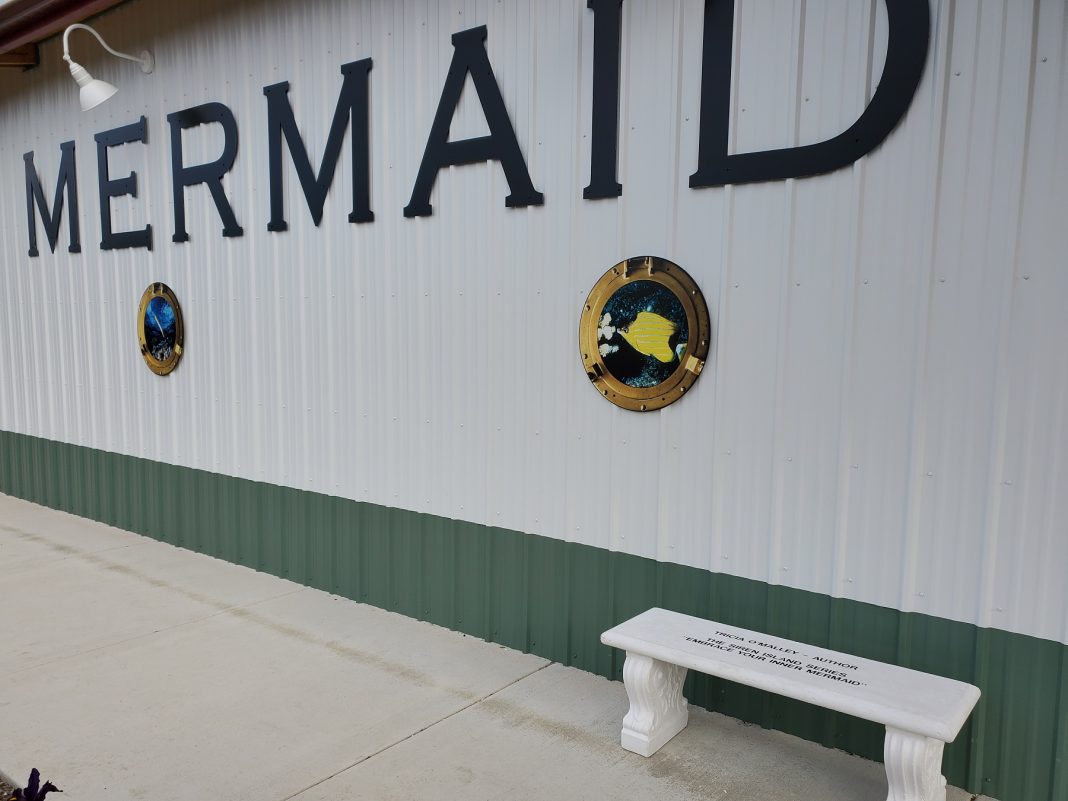westport winery mermaid bench