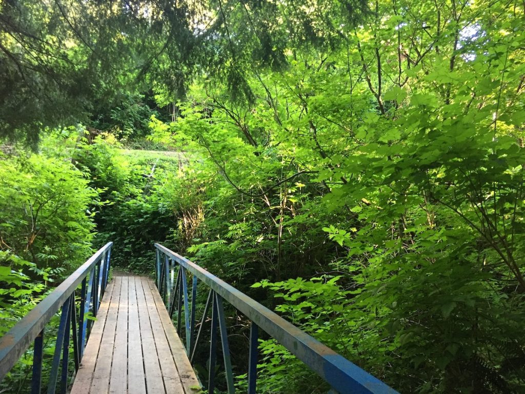 Day Trip Grays Harbor Hikes Elton-Bennett-Trail-bridge-Hoquiam