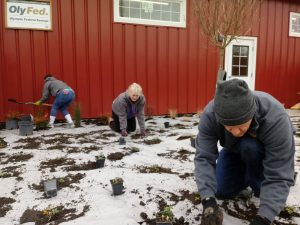 Gateway Rotary Lacey Food Bank