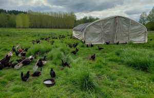 Southwest washington food hub 3