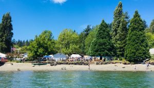 exlore hood canal summer events 2021 allyn days