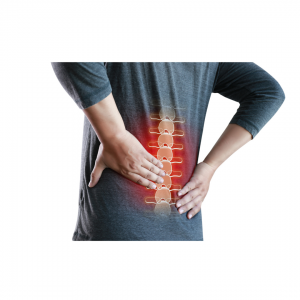 penrose physical therapy lacey back pain