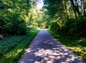 Kid-Friendly-Bike-Trails-Olympia Thurston-County-Karen-Fraser-Woodland-Trail