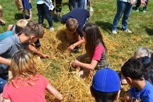 McCleary Bear Festival kids activities