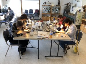 Nisqually-Reach-Nature-Center-Forage-Fish-Lab-Volunteers