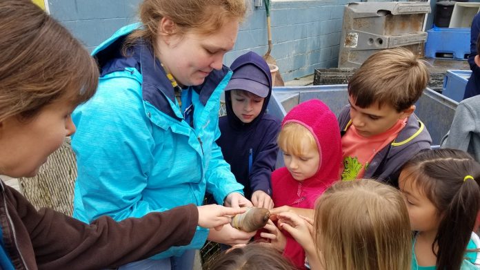 Nisqually-reach-nature-Center-student-activity-goeduck