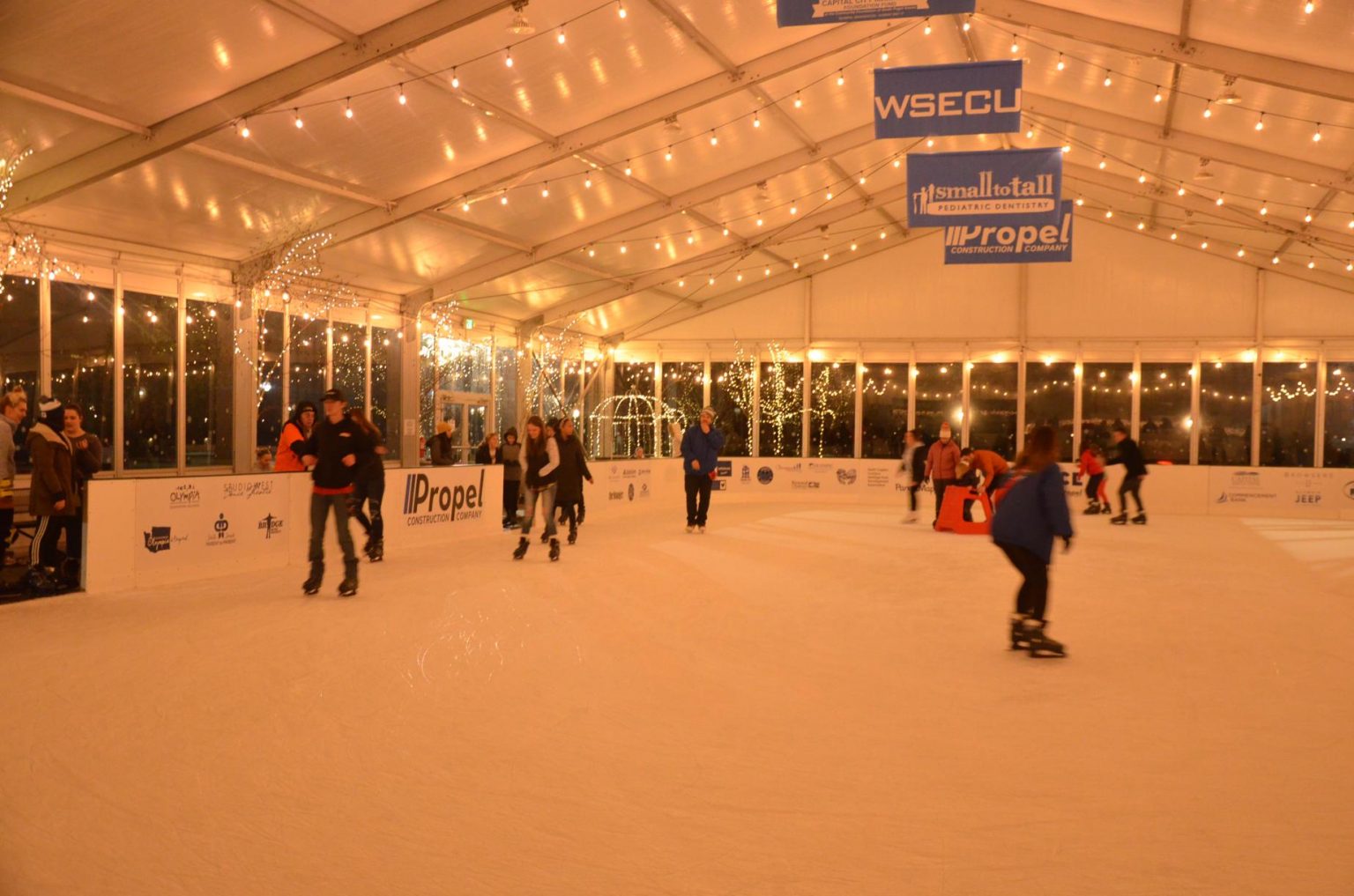 Cool Down in the Summer Heat With Thoughts of Oly on Ice The Rink